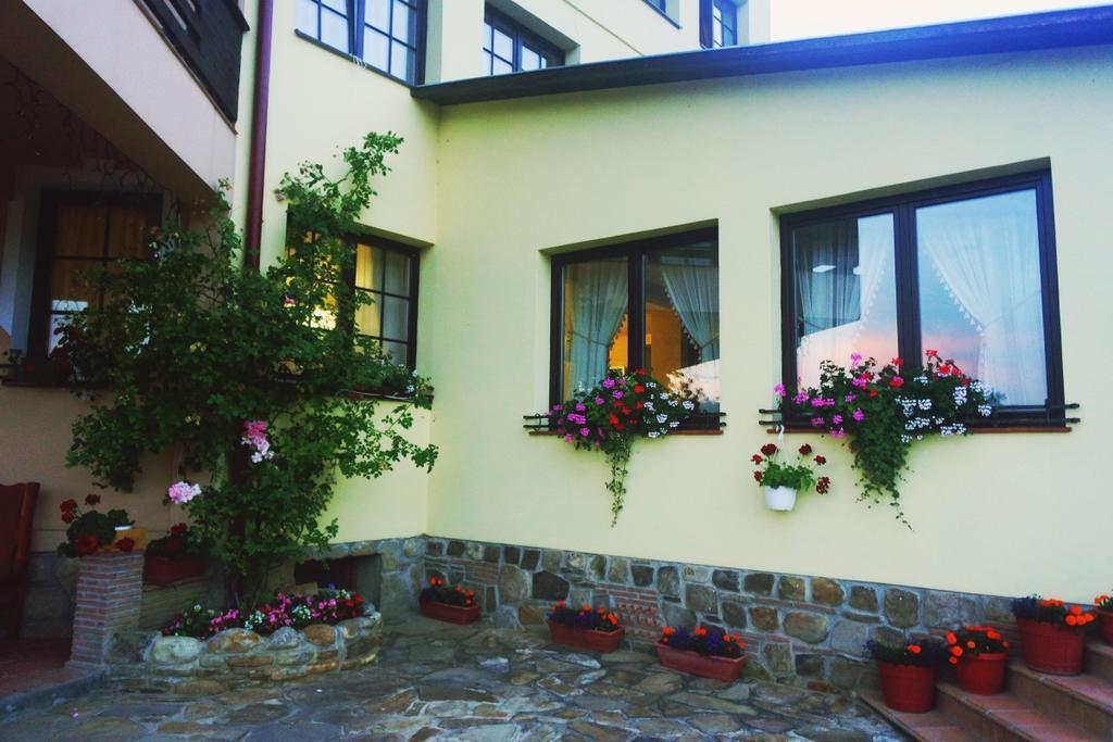 Pensiunea Violeta Saschiz Esterno foto
