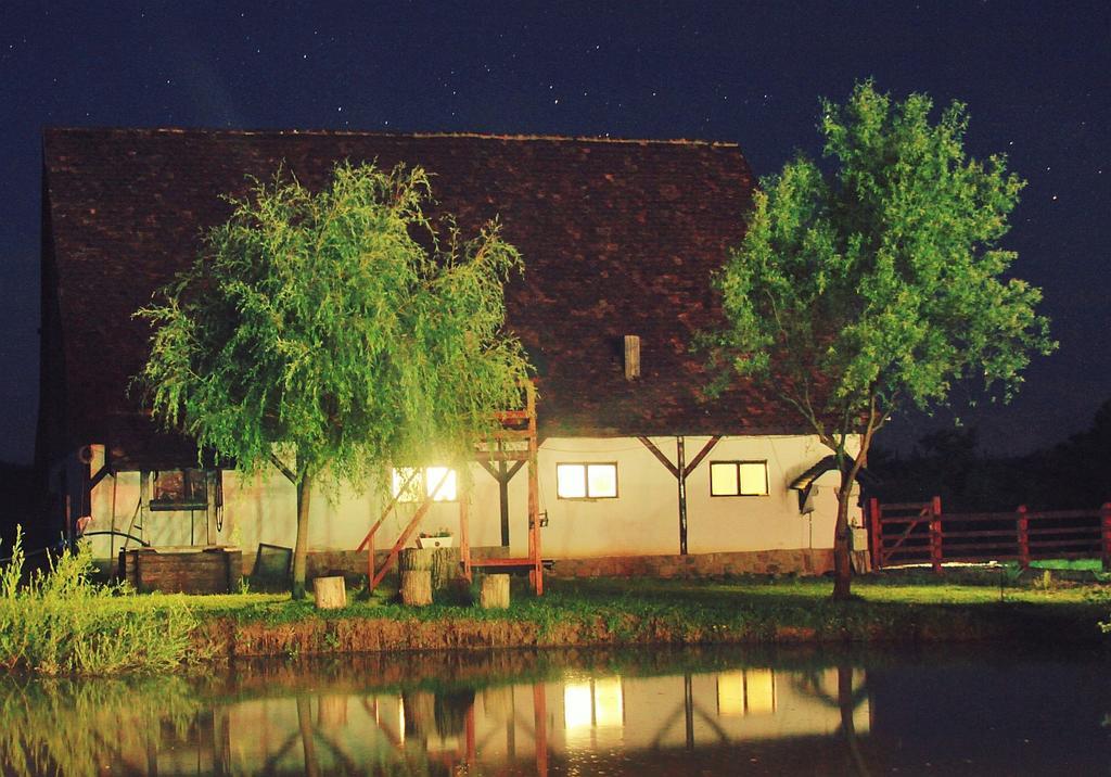 Pensiunea Violeta Saschiz Esterno foto