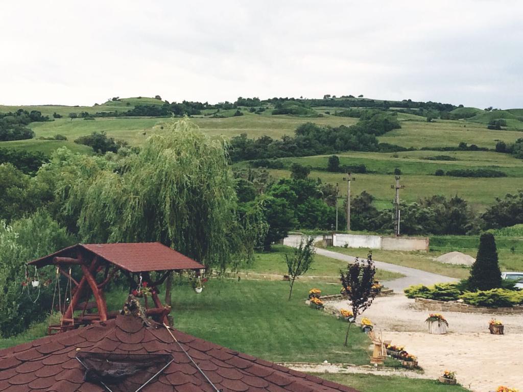 Pensiunea Violeta Saschiz Esterno foto